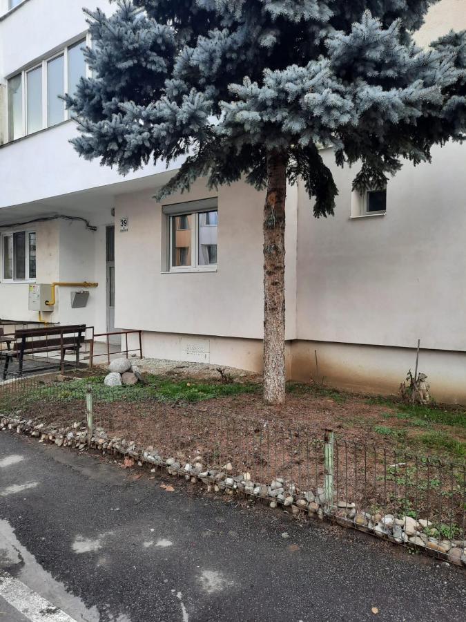 Chrysanthemum Apartment Sighisoara Exterior photo